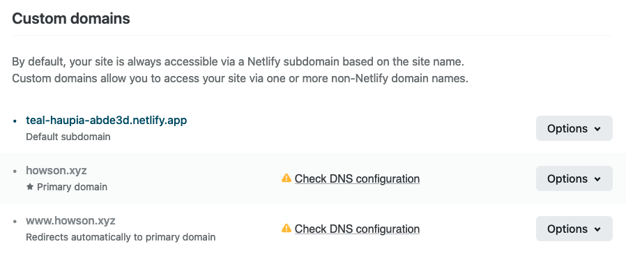 Netlify DNS Warning